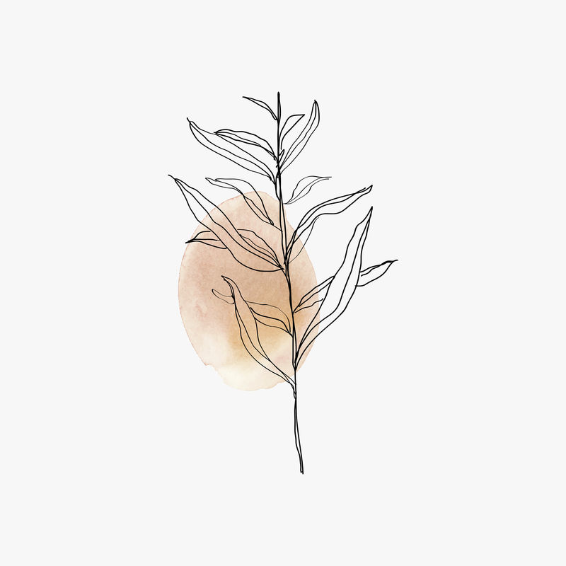 叶子psd线条艺术最小桃色橙色粉彩插图