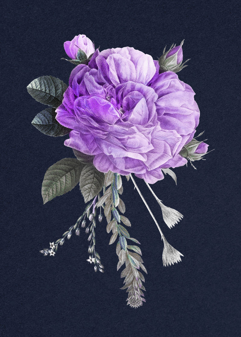 复古紫色psd法国玫瑰花束手绘插图