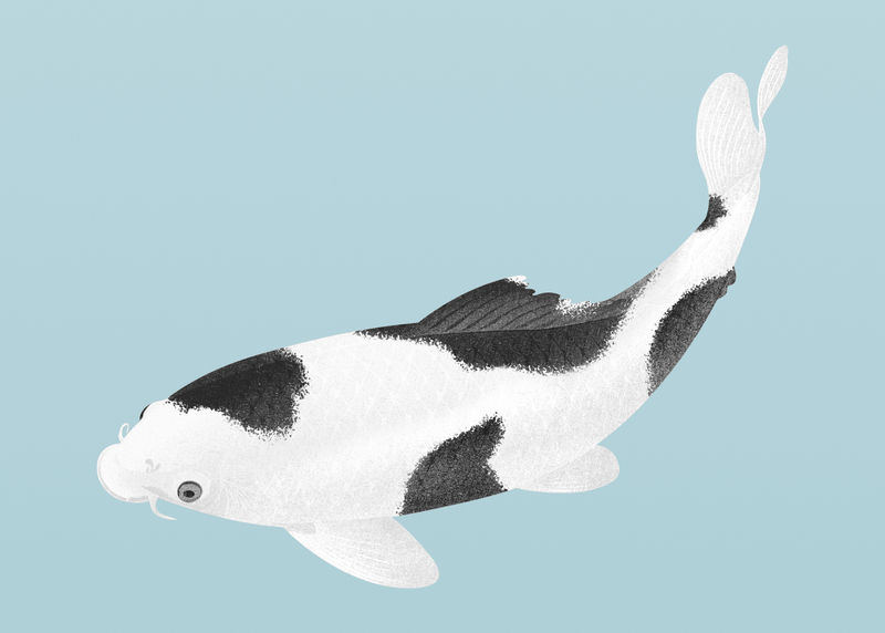 鲤鱼带黑白斑点设计元素