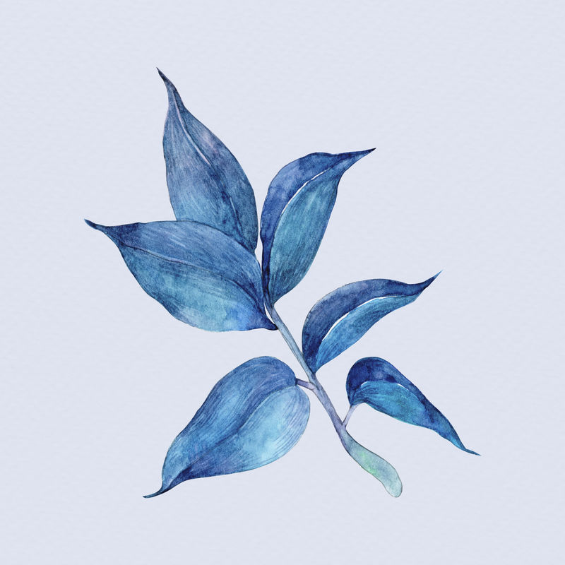 蓝色手绘水彩叶植物病害