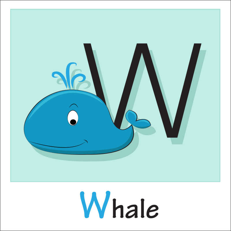 矢量卡通鲸鱼和字母插图