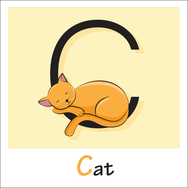矢量卡通猫和字母插图