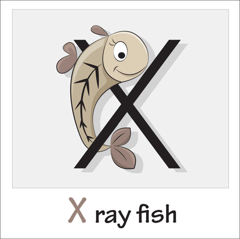 矢量卡通鱼和字母插图