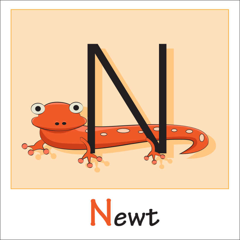 矢量卡通蝾螈和字母插图