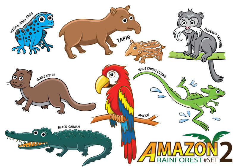 南美洲亚马逊地区的可爱卡通动物矢量插画