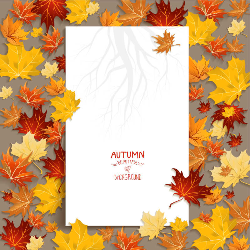 秋天的枫叶上白色纸矢量插图