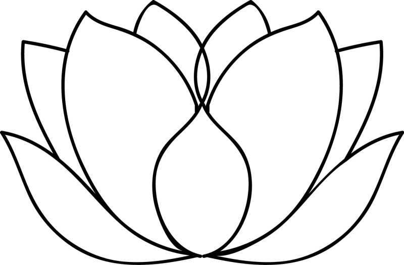 白色背景上的矢量莲花标志插图