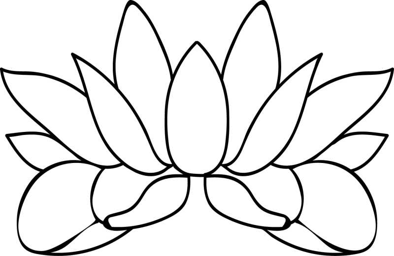 白色背景上的白描莲花矢量插图