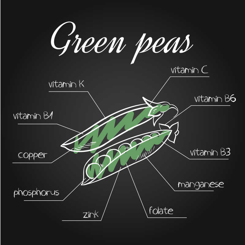 黑板上的绿色豌豆营养素列表的矢量插图