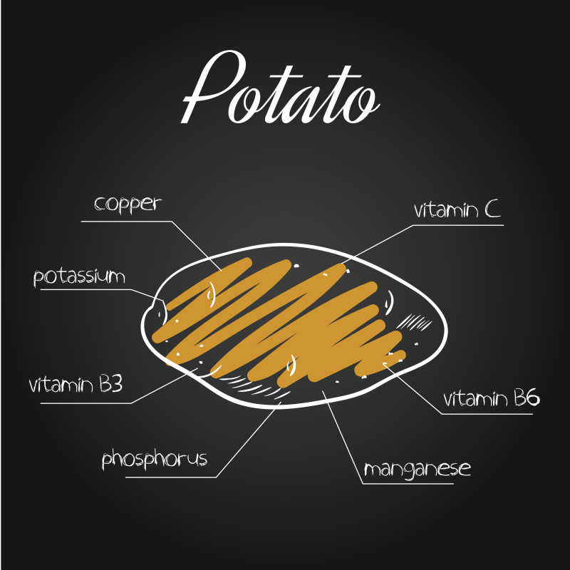 黑板上的马铃薯营养素列表矢量插画