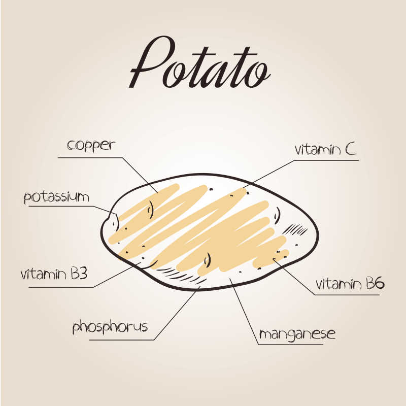 马铃薯养分清单的矢量图解