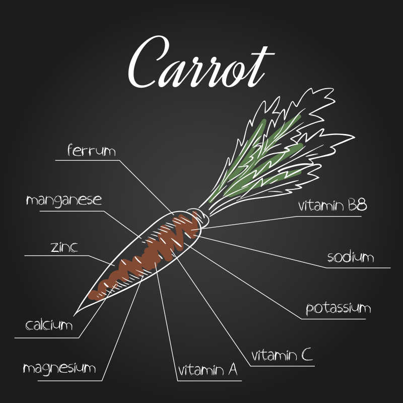 胡萝卜营养素表矢量图解