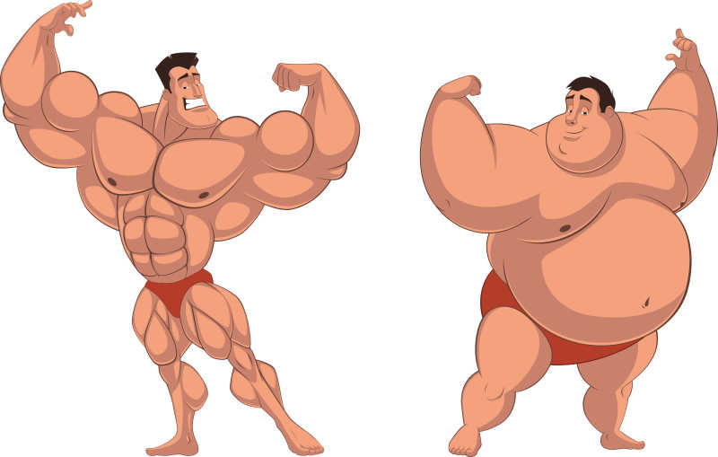 强壮的人和肥胖的人卡通矢量插画