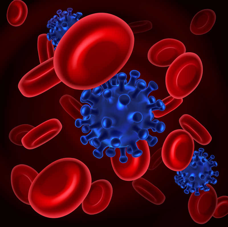病毒与血细胞矢量插画