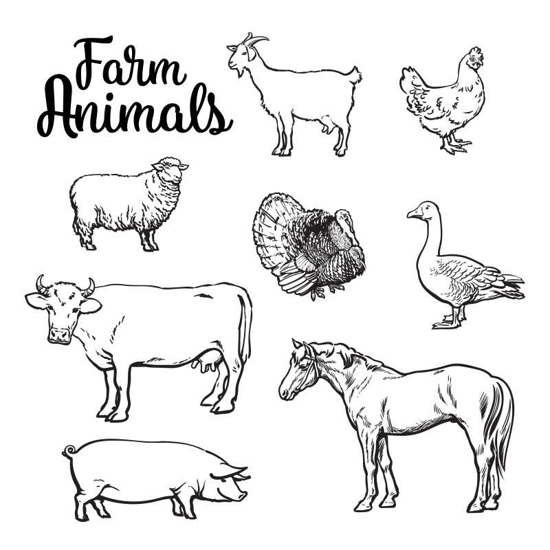 矢量农场动物插画