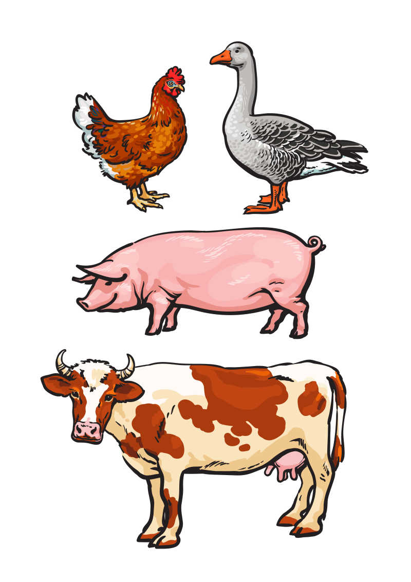 农场的动物矢量插画
