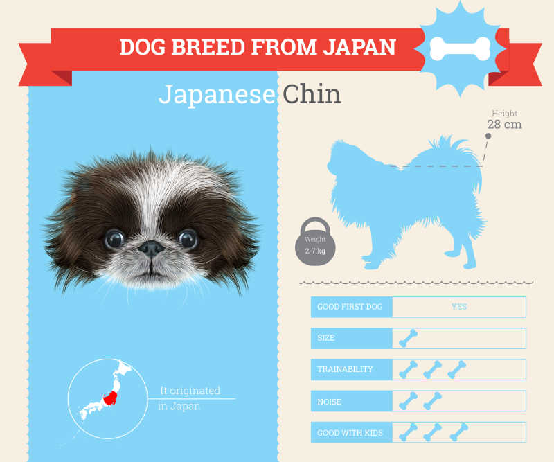 日本颏狗信息矢量图表