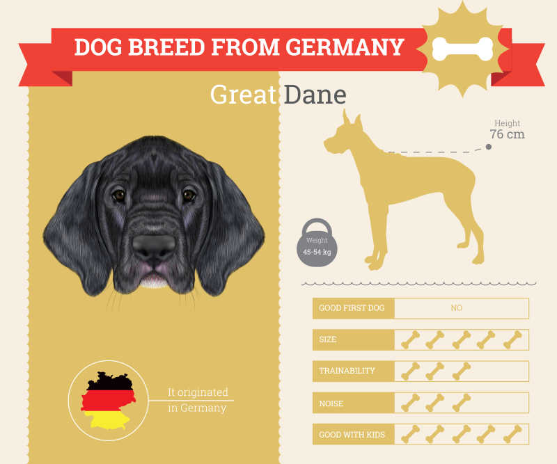 丹麦狗矢量信息图表