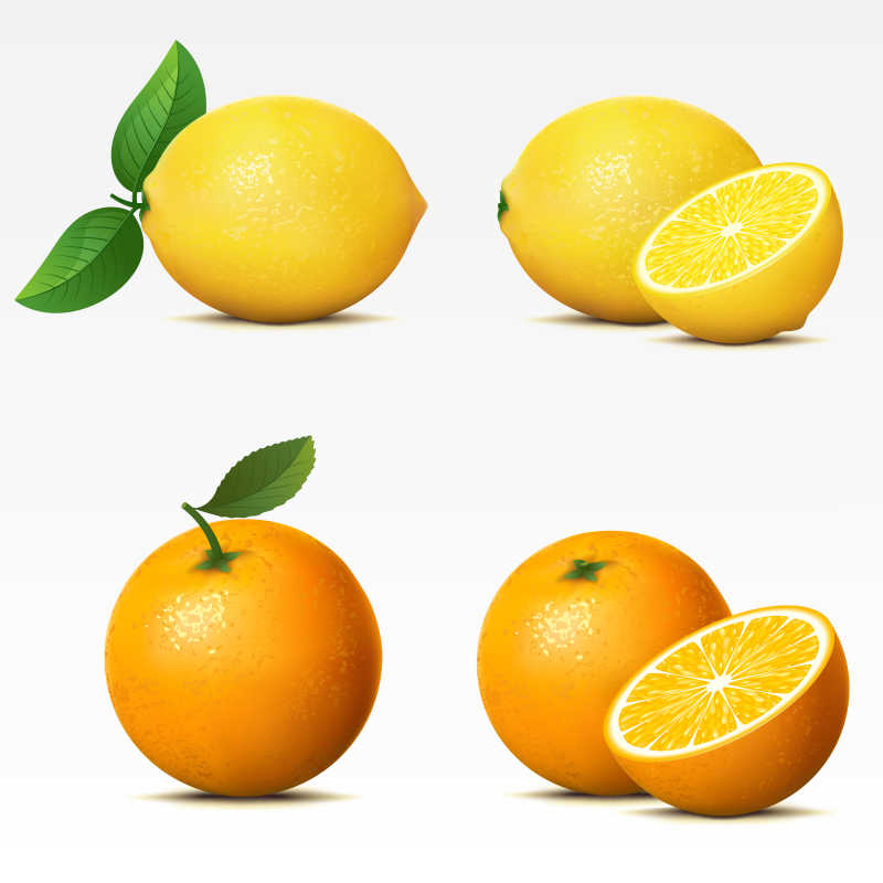 白色背景上的矢量橙子和柠檬