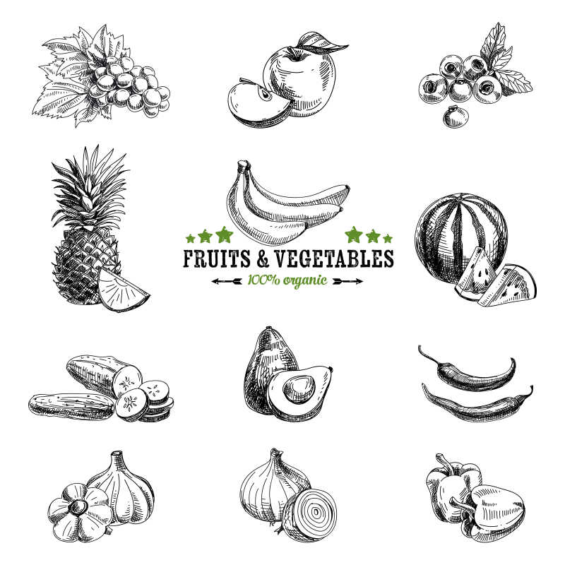 素描水果和蔬菜矢量插图