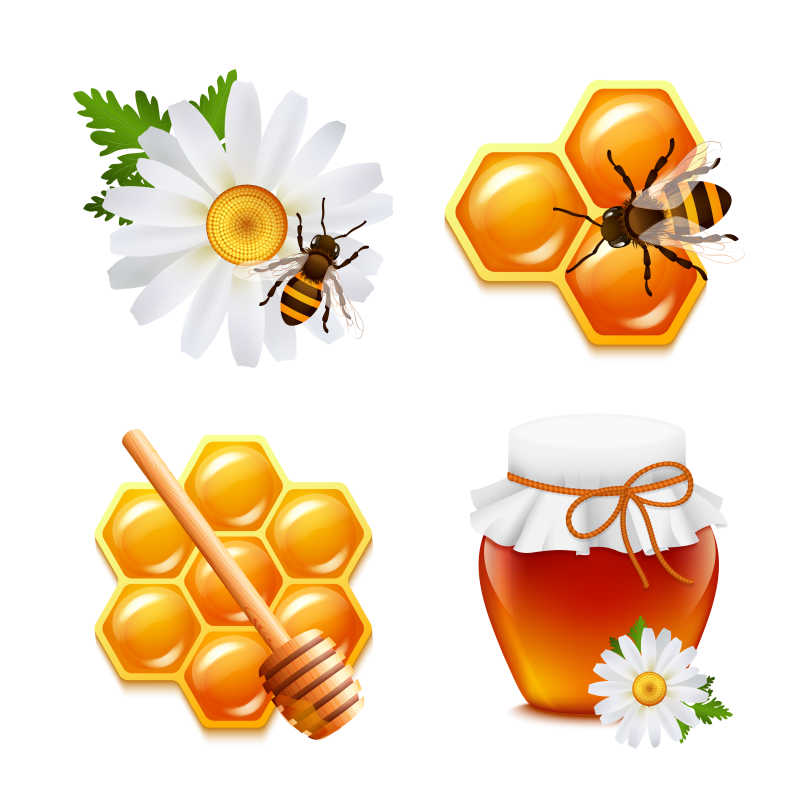 蜂蜜相关素材矢量插画