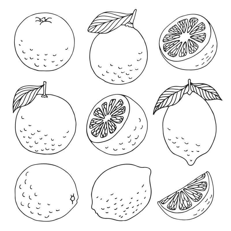 手绘柑橘柠檬图案矢量插图