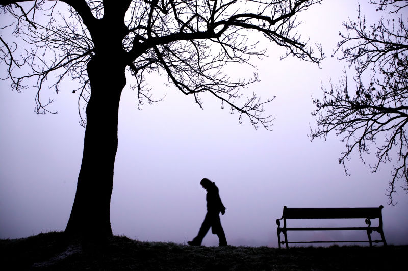 一个人行走在充满雾气的树林