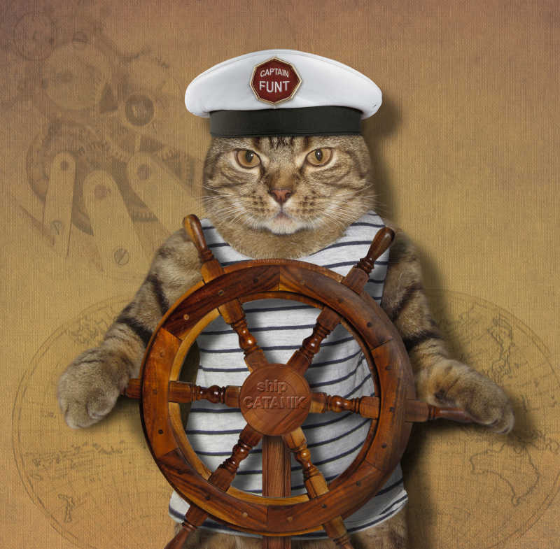 猫船厂在掌舵创意