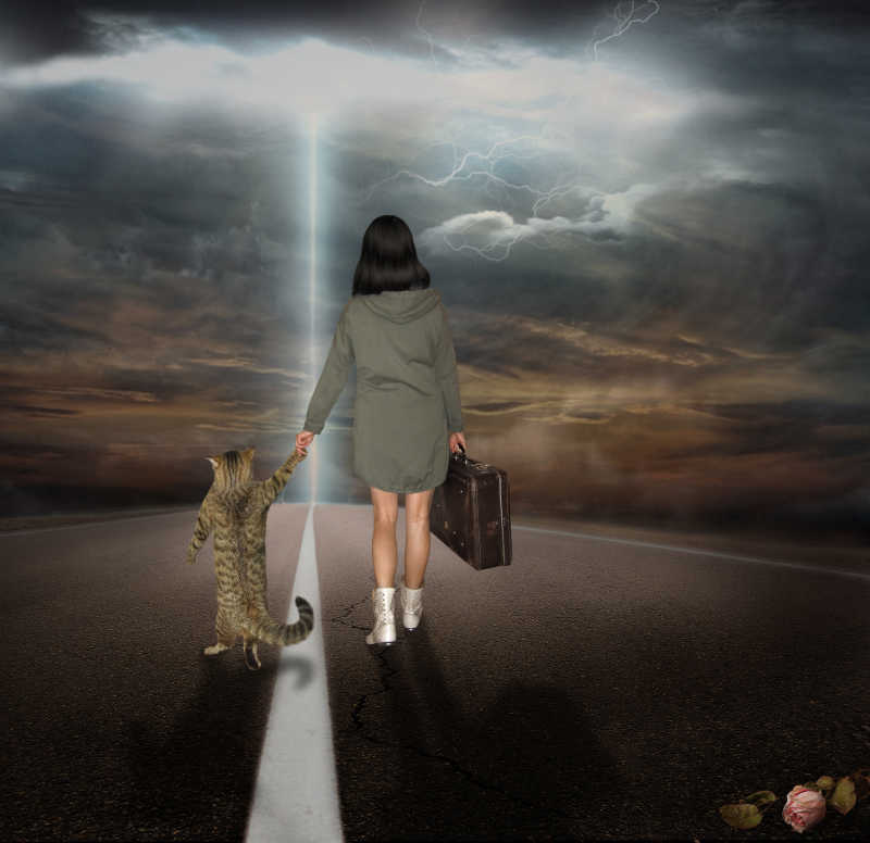 一个女人和她的猫走在路上