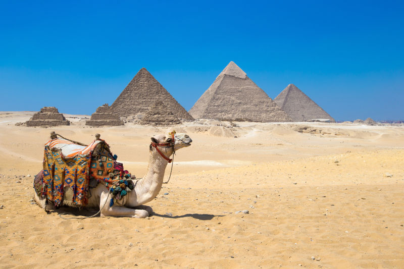 沙漠中的金字塔和骆驼