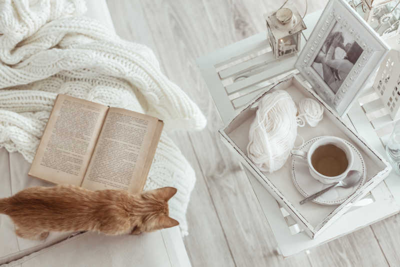 桌上的木制托盘里的咖啡杯相框和小猫书白色的毯子