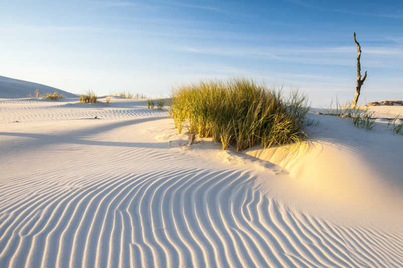 蓝天下有着水波纹的美丽的沙丘