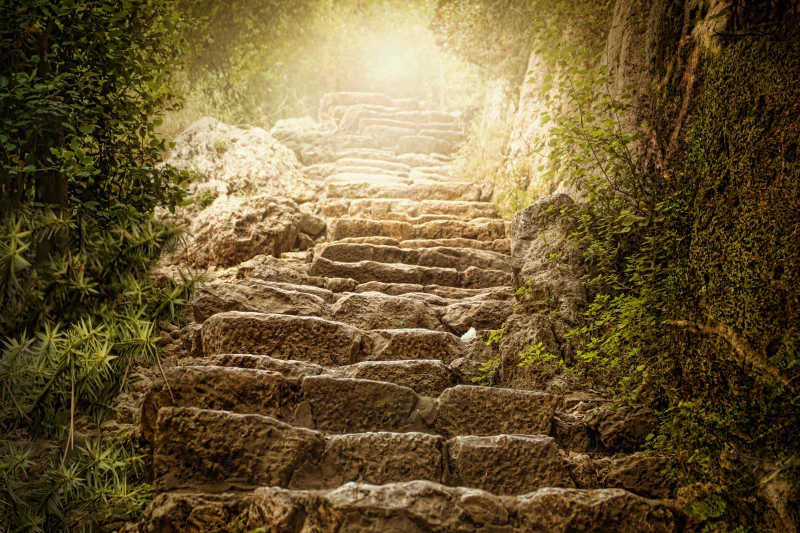 丛林公园中的山路