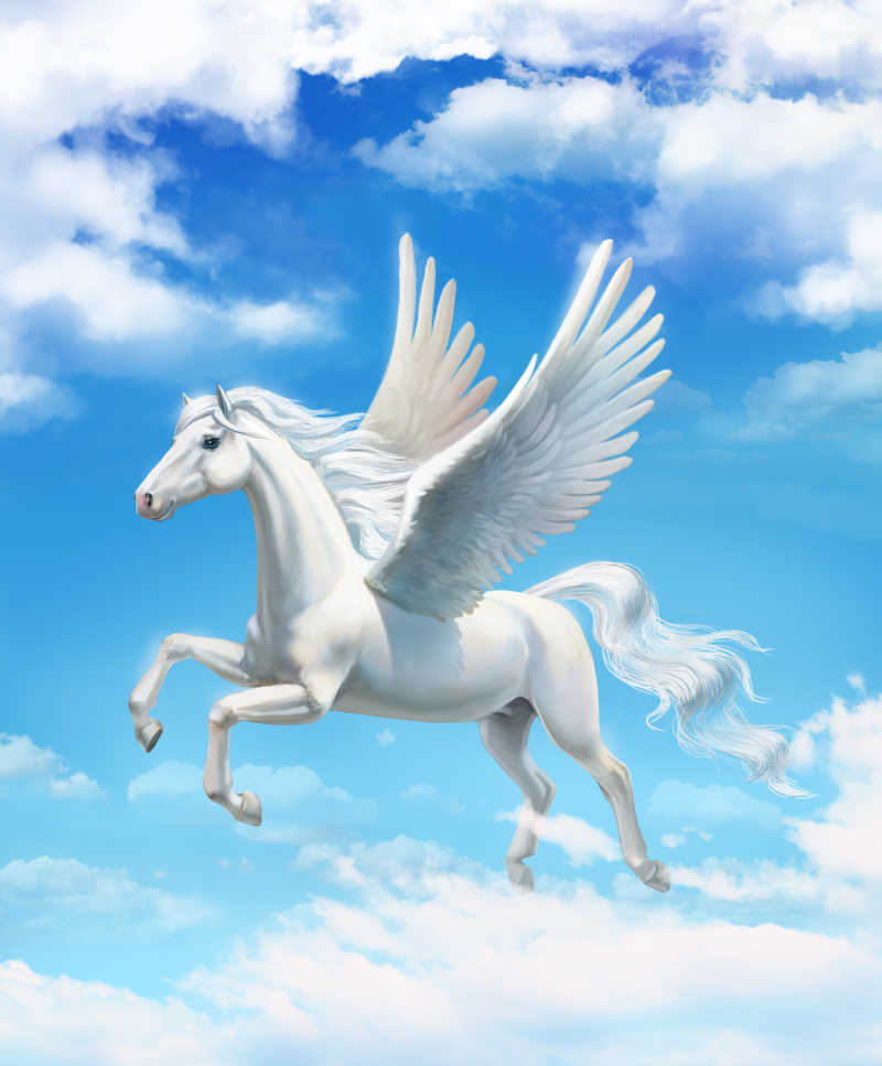 白色的安达卢西亚骑马在蓝天白云下飞行