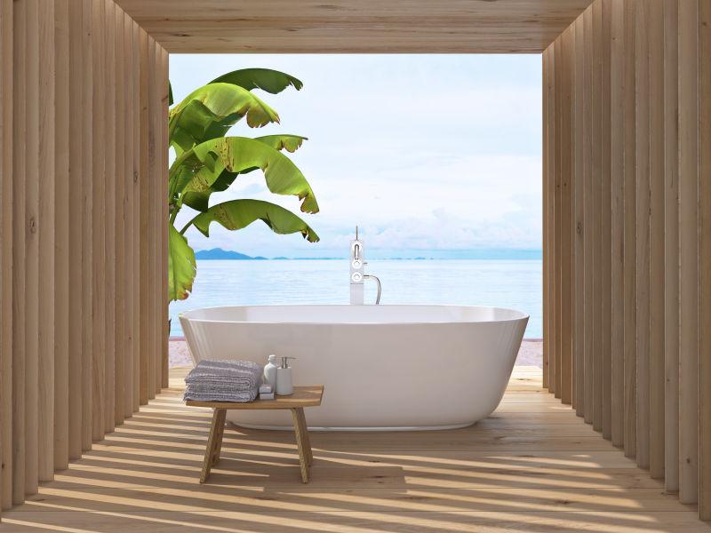 现代木制豪华浴室