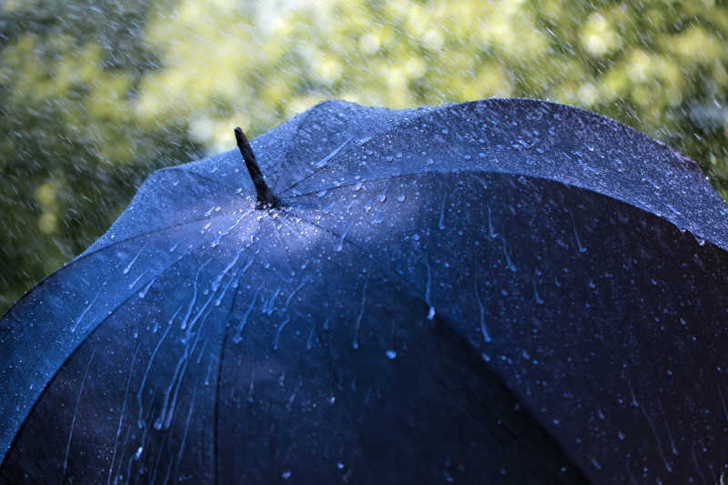 一把黑色的雨水正在为它主人挡雨