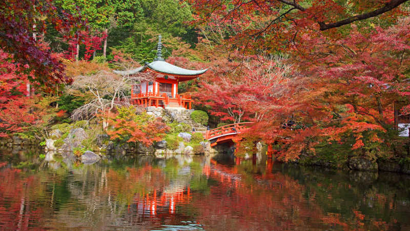 美丽的秋枫寺风景