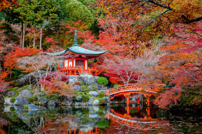 佛教寺庙的美丽红叶风景