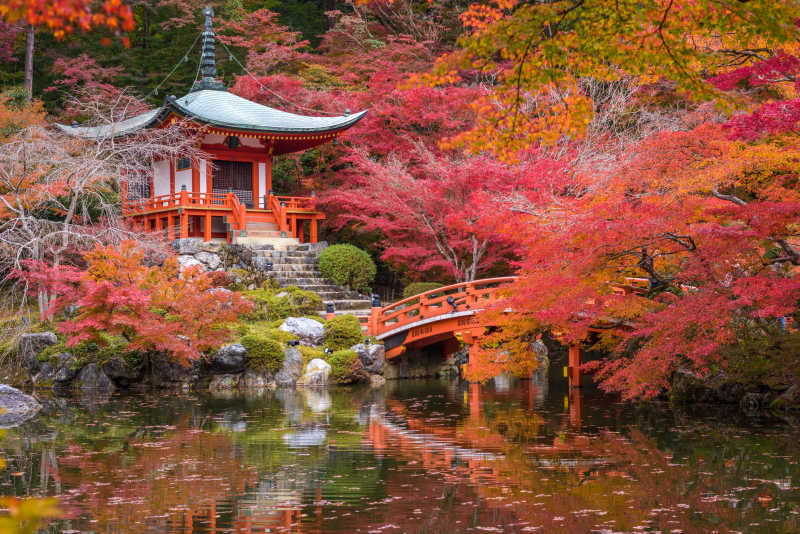 日本京都大吉寺秋季风景
