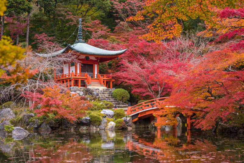 枫木寺大吉寺的红叶风景