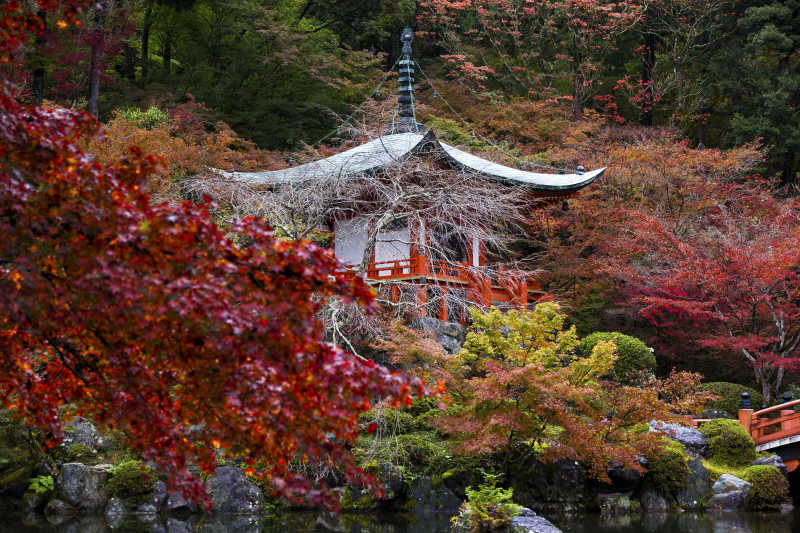 日本京都大吉寺的秋季风景