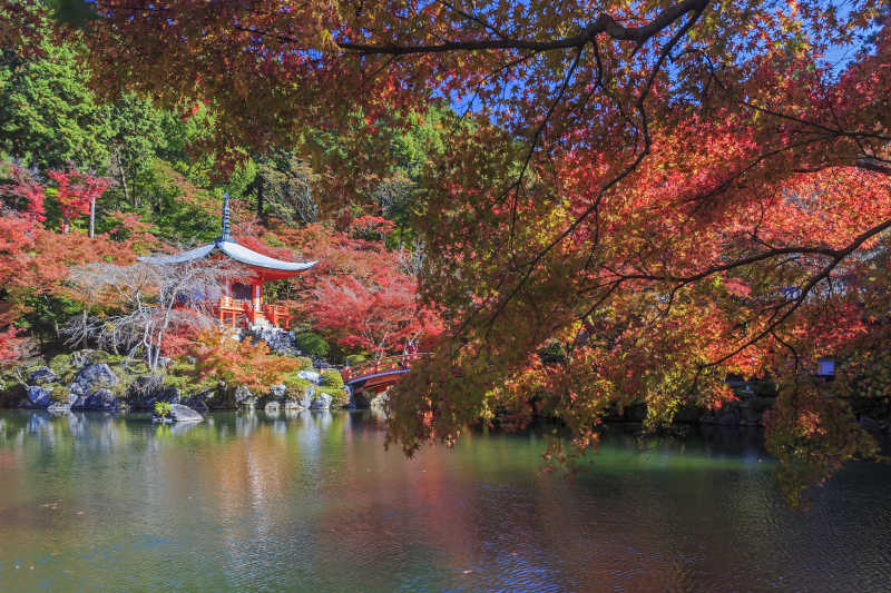 京都美丽的秋季风景