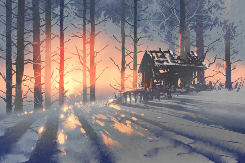 森林里冬季景观插画