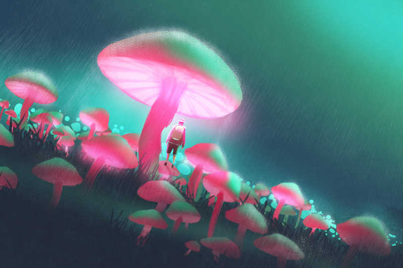 雨夜大蘑菇森林里的徒步人绘画