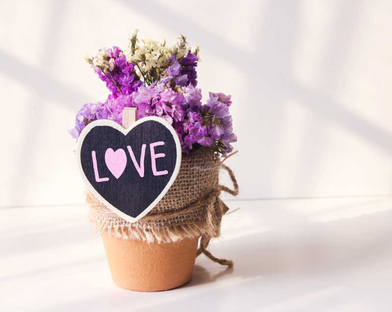 画着love盆栽的紫色小花