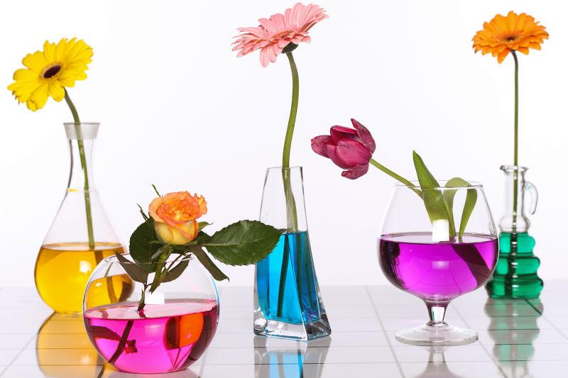 玻璃花瓶中的花种