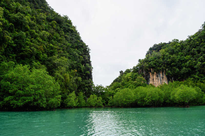 美丽的红岛海林风景