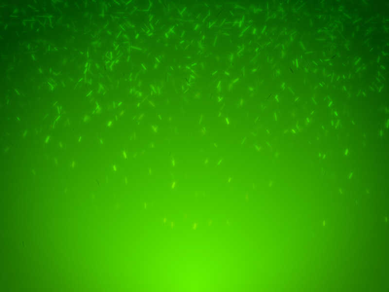 绿色渐变有闪烁粒子矢量背景