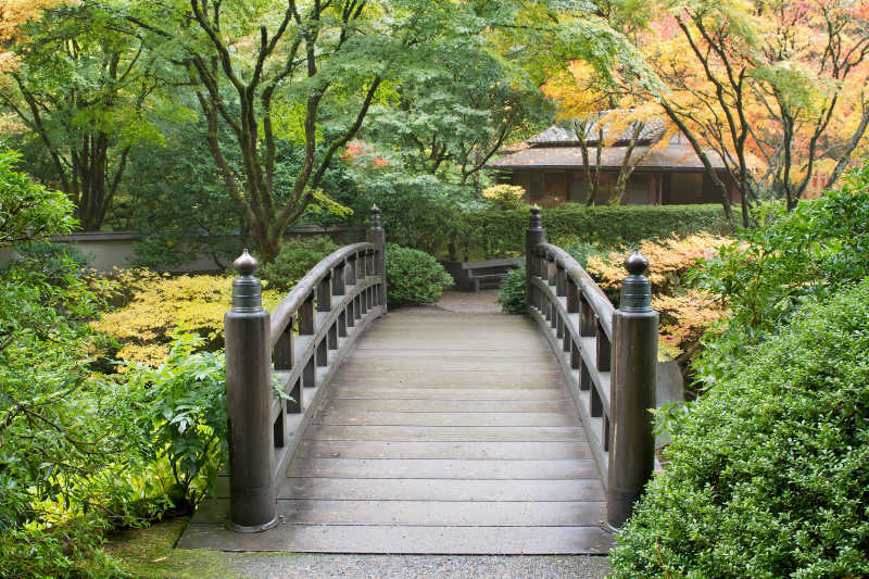 秋日日本花园木桥风景