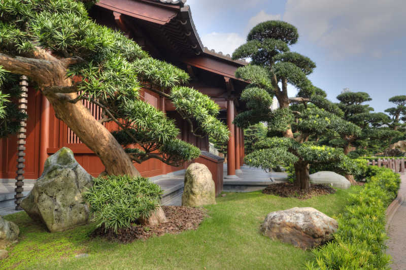 美丽的香港HK南莲花园公园建筑景观